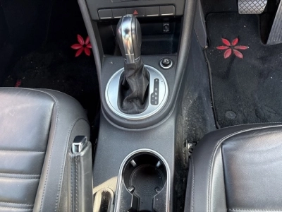 VOLKSWAGEN THE BEETLE