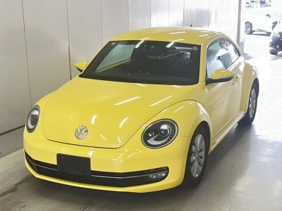 VOLKSWAGEN THE BEETLE