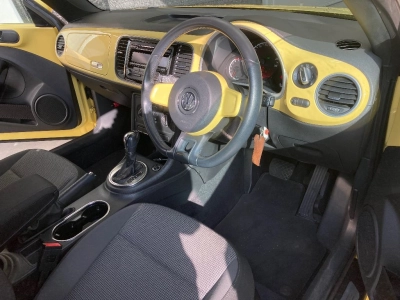 VOLKSWAGEN THE BEETLE