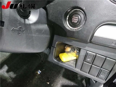 SUZUKI WAGON R STINGRAY