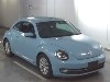 VOLKSWAGEN THE BEETLE