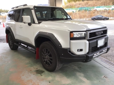 TOYOTA LAND CRUISER 250
