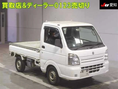 SUZUKI CARRY TRUCK