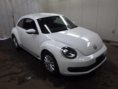 VOLKSWAGEN THE BEETLE