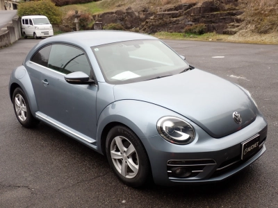 VOLKSWAGEN THE BEETLE