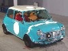 ROVER MINI