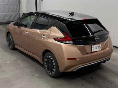 NISSAN LEAF