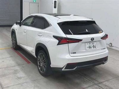 LEXUS NX