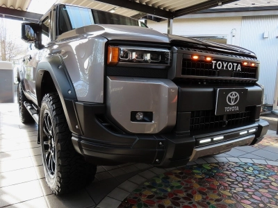 TOYOTA LAND CRUISER 250