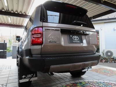 TOYOTA LAND CRUISER 250