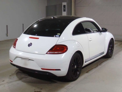 VOLKSWAGEN THE BEETLE