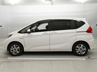 HONDA FREED + HYBRID