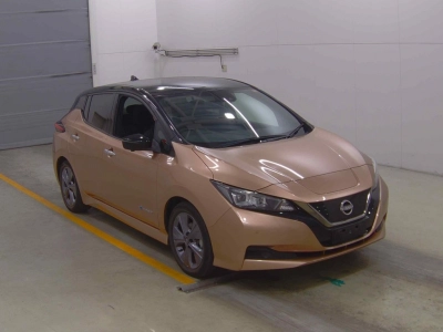 NISSAN LEAF