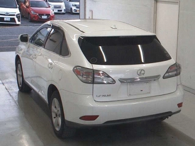 LEXUS RX