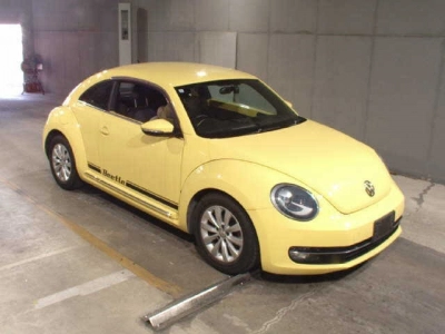 VOLKSWAGEN THE BEETLE