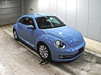 VOLKSWAGEN THE BEETLE