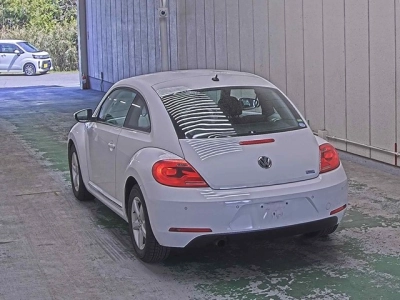 VOLKSWAGEN THE BEETLE