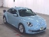 VOLKSWAGEN THE BEETLE