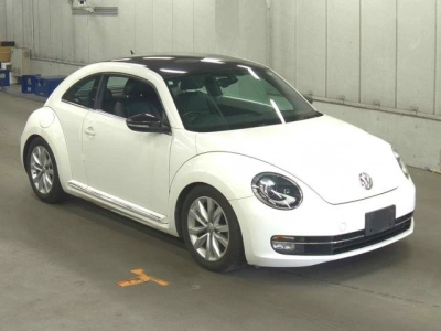 VOLKSWAGEN THE BEETLE