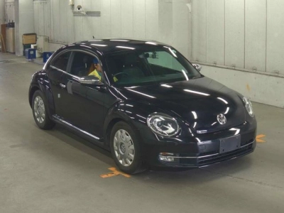 VOLKSWAGEN THE BEETLE