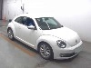 VOLKSWAGEN THE BEETLE