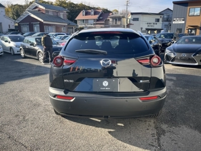 MAZDA MX-30 EV MODEL