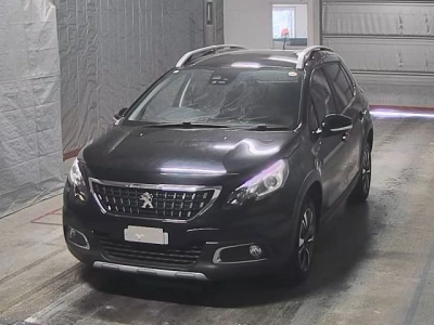 PEUGEOT OTHER