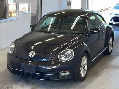 VOLKSWAGEN THE BEETLE