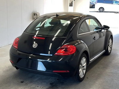 VOLKSWAGEN THE BEETLE
