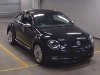 VOLKSWAGEN THE BEETLE