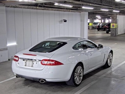 JAGUAR XK