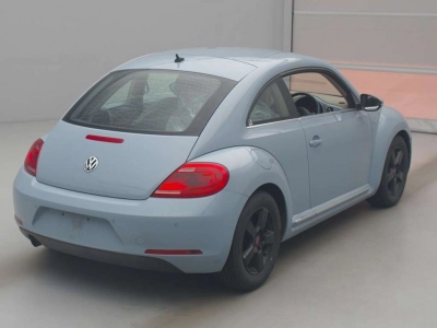 VOLKSWAGEN THE BEETLE