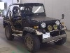 MITSUBISHI JEEP