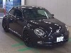 VOLKSWAGEN THE BEETLE