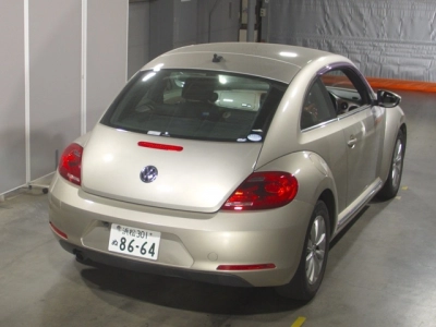 VOLKSWAGEN THE BEETLE