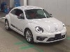 VOLKSWAGEN THE BEETLE