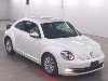 VOLKSWAGEN THE BEETLE