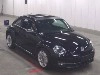 VOLKSWAGEN THE BEETLE
