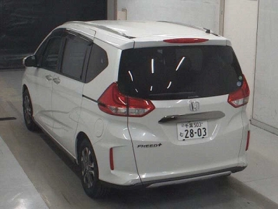 HONDA FREED+