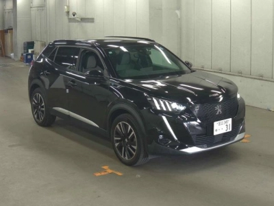 PEUGEOT OTHER