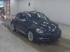 VOLKSWAGEN THE BEETLE