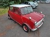ROVER MINI