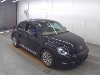 VOLKSWAGEN THE BEETLE