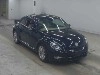 VOLKSWAGEN THE BEETLE