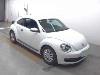 VOLKSWAGEN THE BEETLE