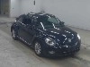 VOLKSWAGEN THE BEETLE