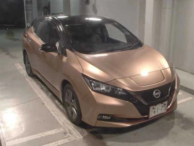 NISSAN LEAF
