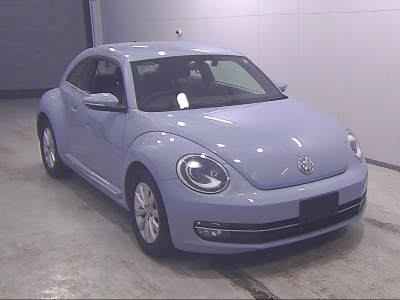 VOLKSWAGEN THE BEETLE