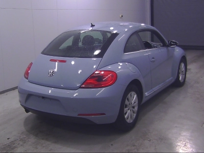 VOLKSWAGEN THE BEETLE