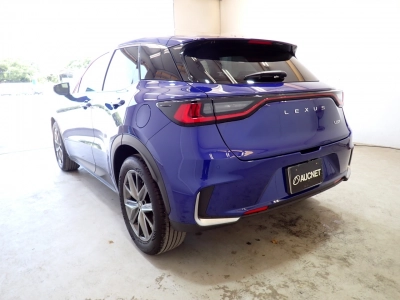 LEXUS LBX